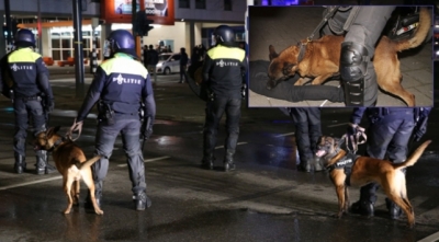 Hollanda polisinin 'köpekli' saldırısında 7 kişi yaralandı